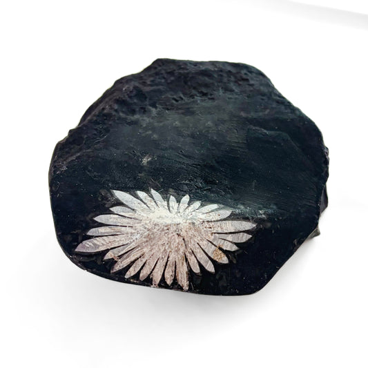 Chrysanthemum Stone