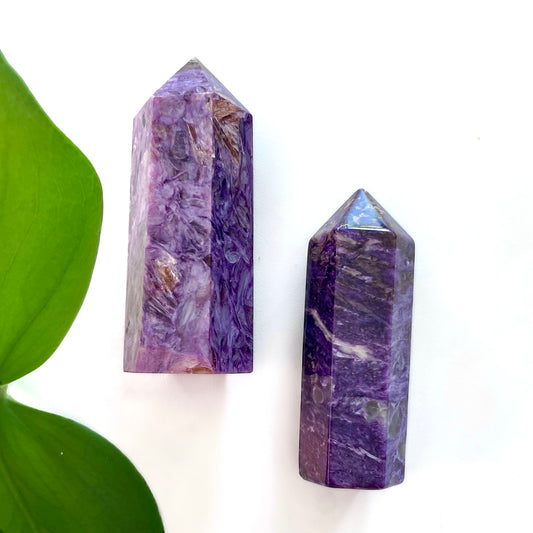 Charoite Polished Points