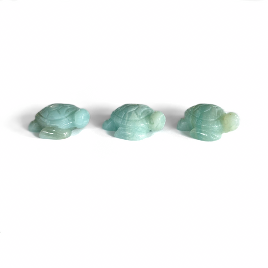 Amazonite Turtles