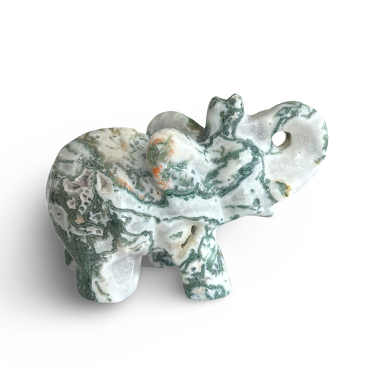 Tree Agate Elephants