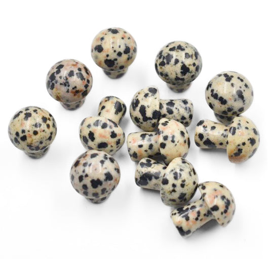 Dalmatian Jasper Mushroom