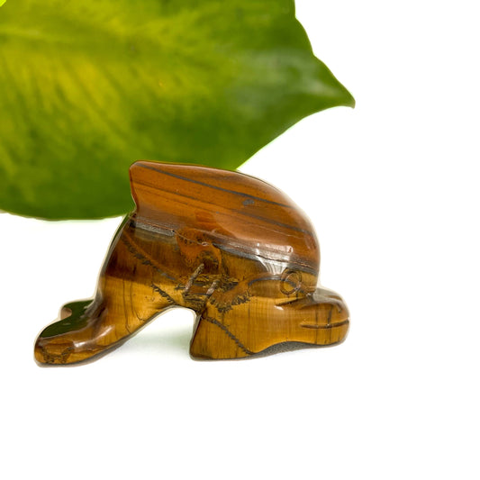 Tiger's Eye Dolphin