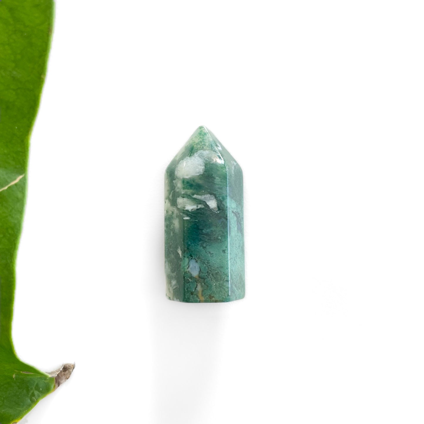 Moss Agate Polished Point