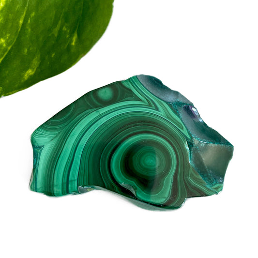 Malachite Polished Slice