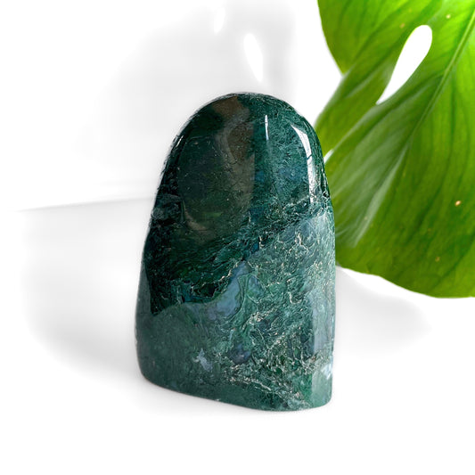 Moss Agate Polished Cutbase Freeform