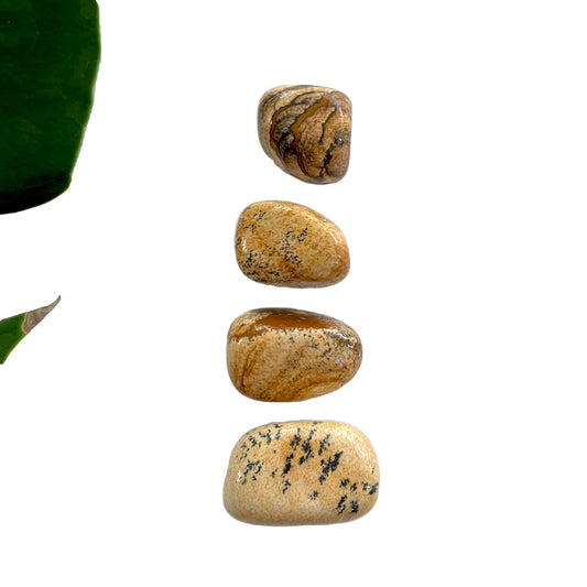 Picture Jasper Tumbles