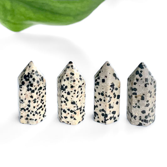 Dalmatian Jasper Polished Point