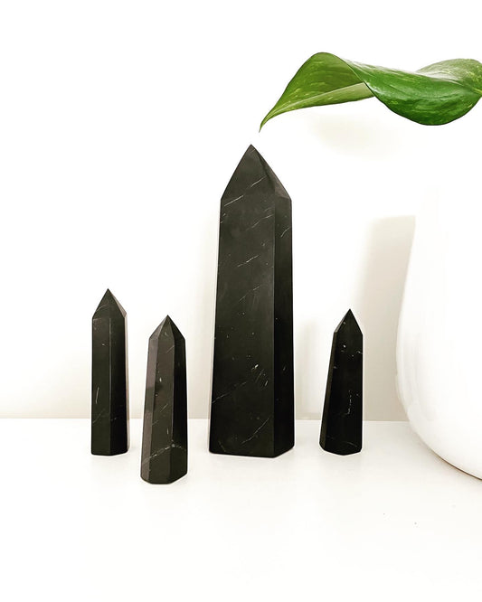 Shungite Polished Point