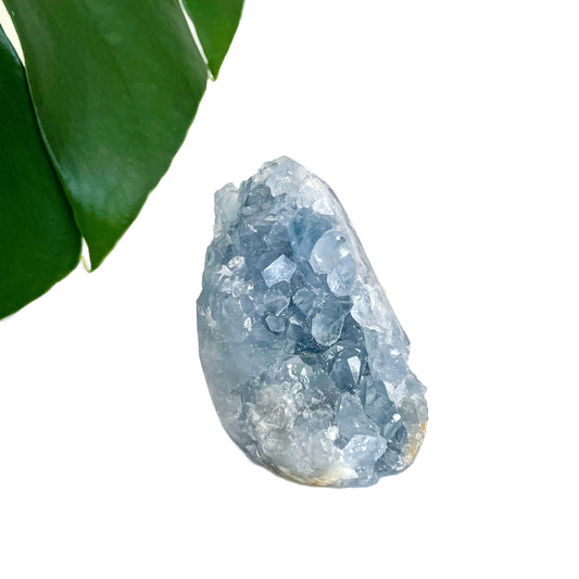 Celestite Cluster