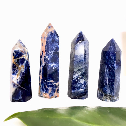 Sodalite Polished Point