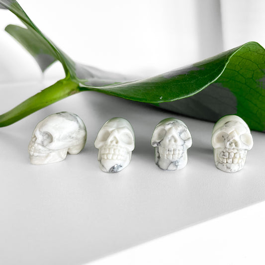 Howlite Skull