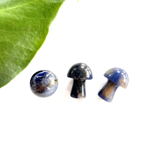 Sodalite Mushroom