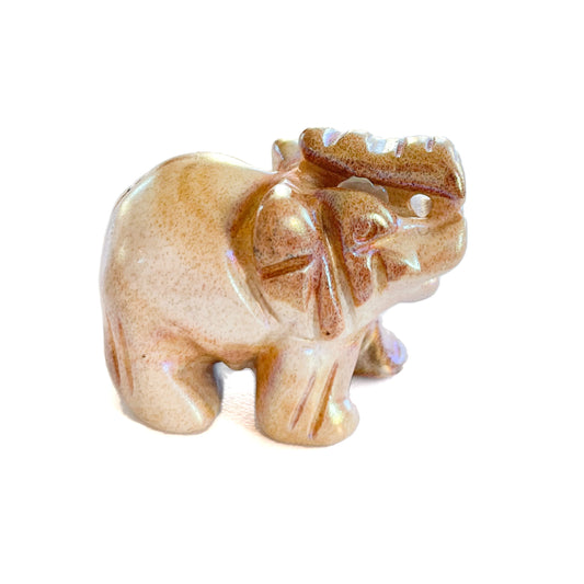 Picture Jasper with Rainbow Aura Elephant