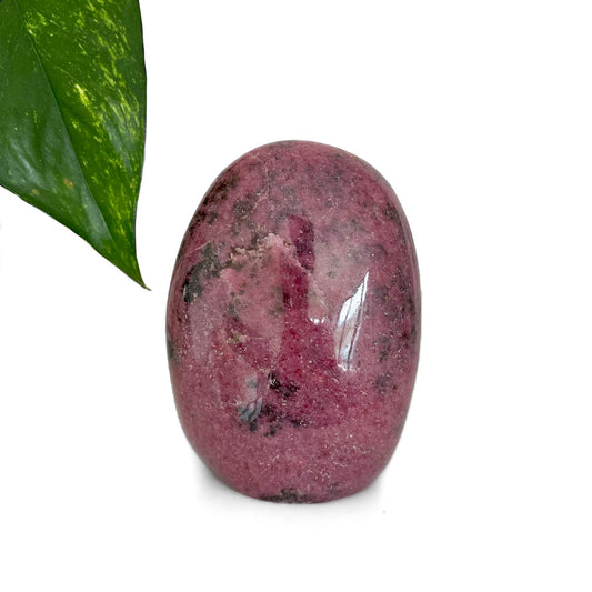 Rhodonite Polished Cutbase Freeforms