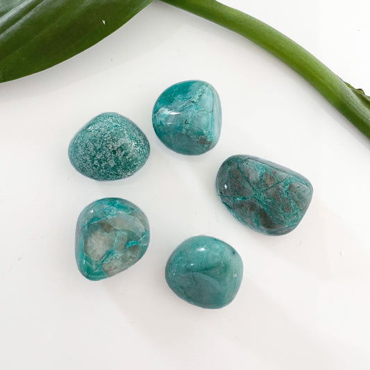 Chrysocolla Tumbles