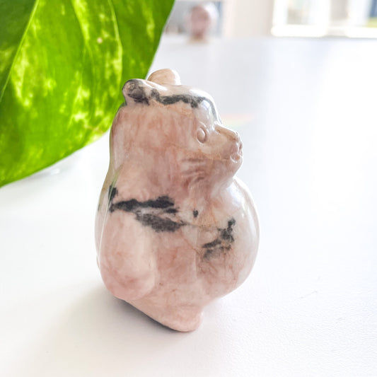 Pink Zebra Jasper Totoro