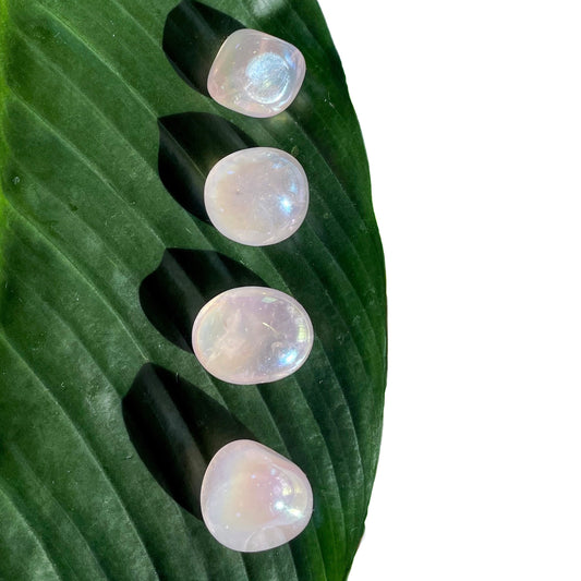 Rainbow Aura Rose Quartz Tumbles