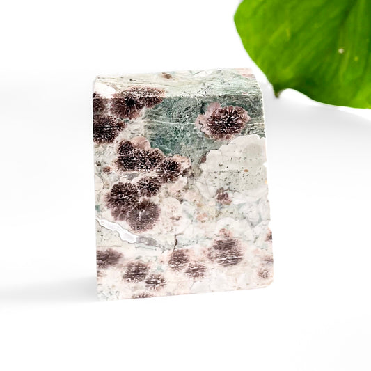 Flower Jasper Slab