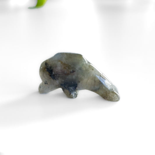 Labradorite Dolphin