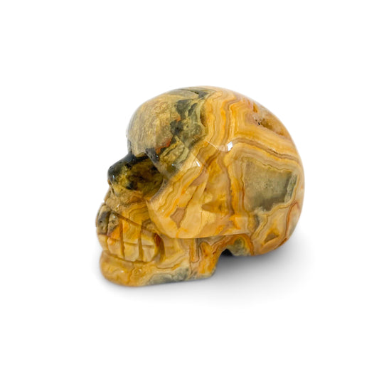 Crazy Lace Agate Skull