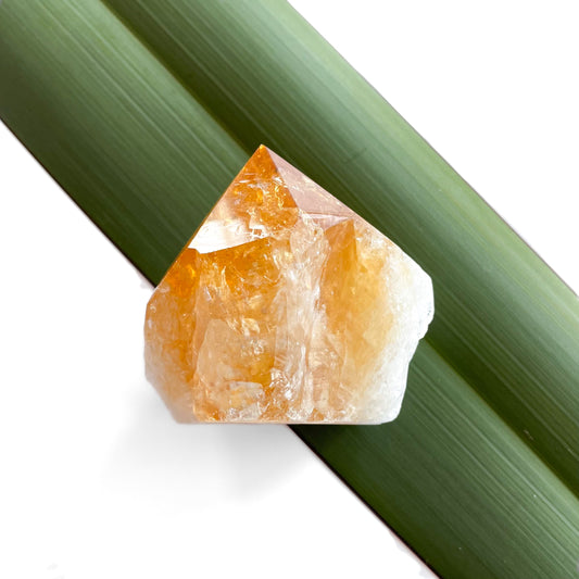 Citrine Cutbase Point