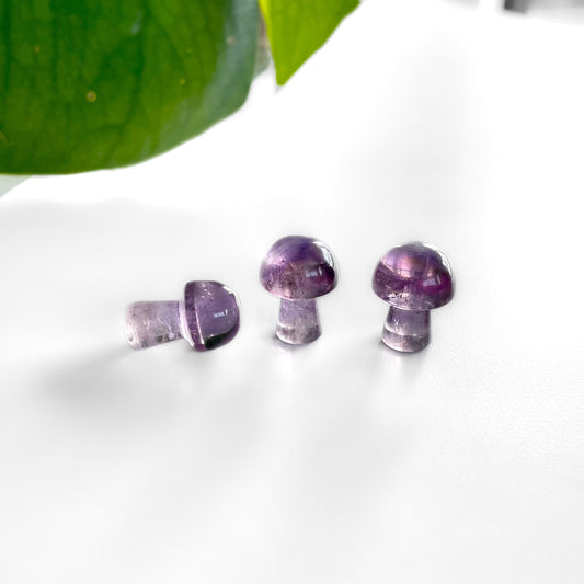 Amethyst Mushroom