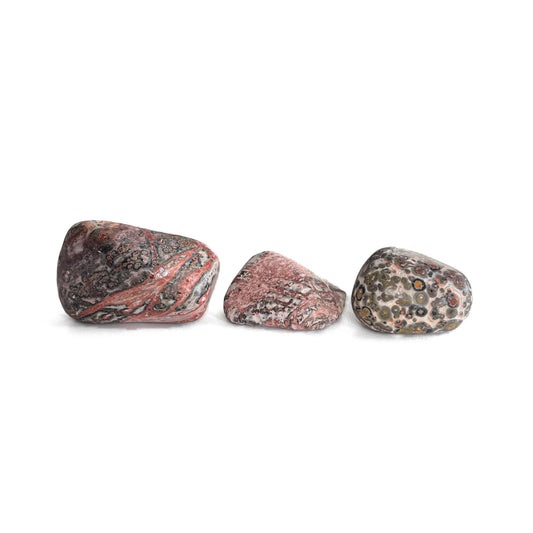 Leopard Skin Jasper Tumbles