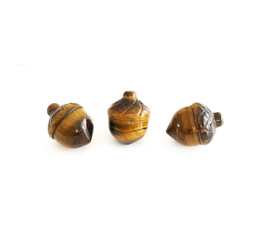 Tiger's Eye Acorn