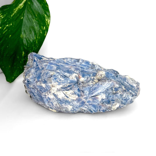 Blue Kyanite with Quartz Specimen