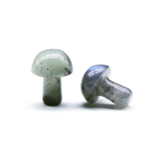 Labradorite Mushroom