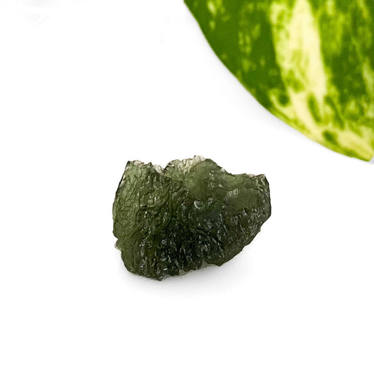 Moldavite Specimen